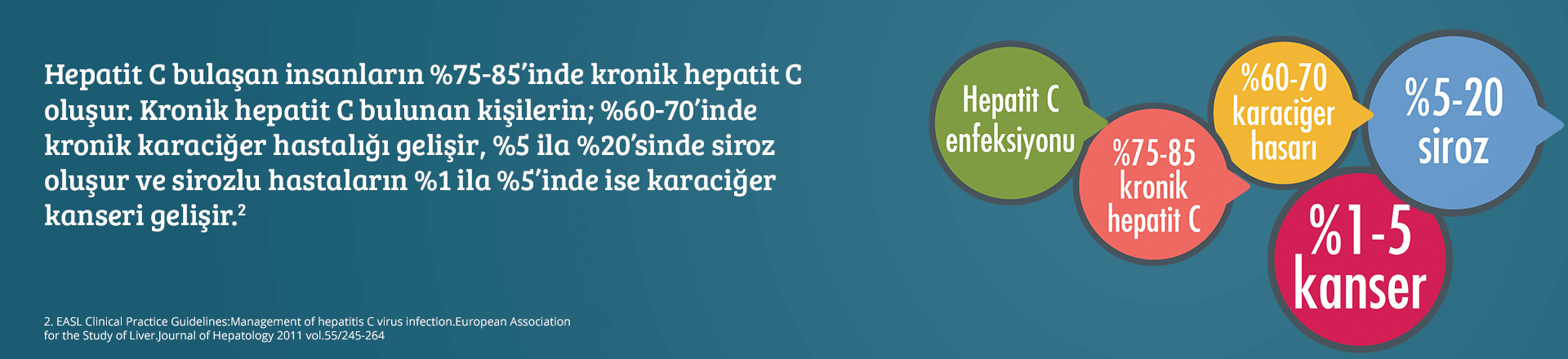 Hepatit C