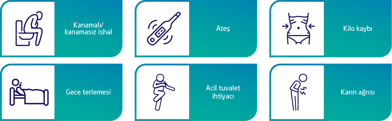 IBH_ile_yasam_Web-02